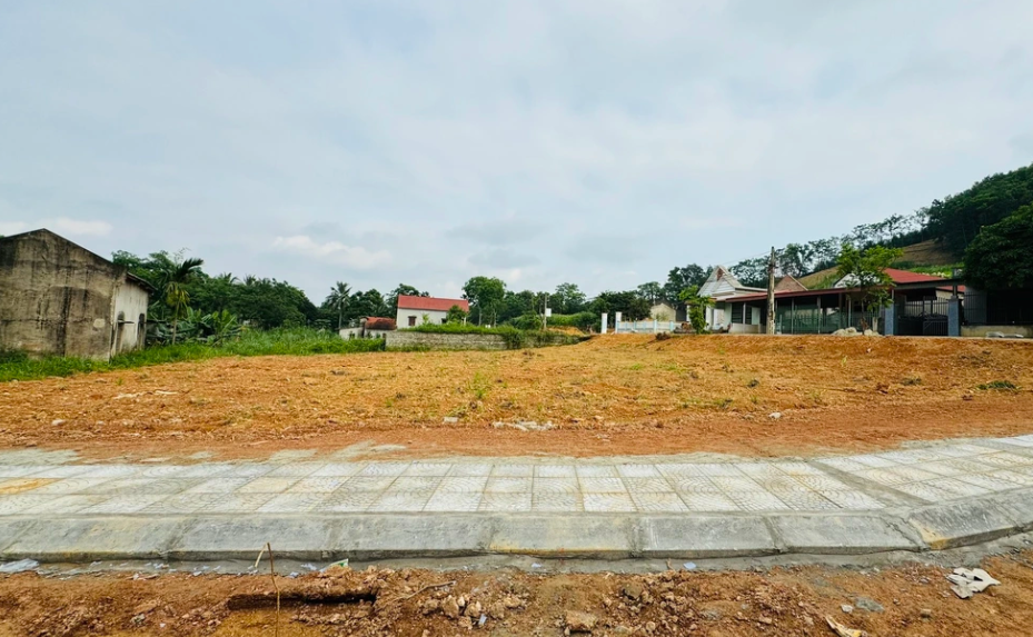 Đất nền "soán ngôi" chung cư, dẫn dắt thị trường bất động sản quý I/2025 